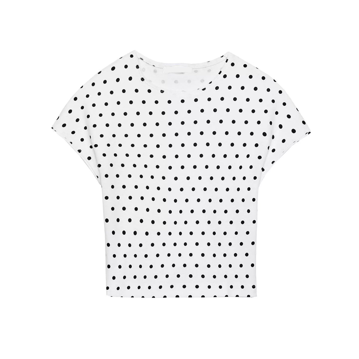 Cropped Slim Crew Neck T-Shirt